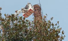 WhatsApp Image 2023-07-24 at 10.33.33 (14) WhatsApp Image 2023-07-24 at 10.33.33 (14)