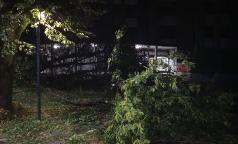 WhatsApp Image 2023-07-24 at 10.33.33 (15) WhatsApp Image 2023-07-24 at 10.33.33 (15)