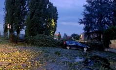 WhatsApp Image 2023-07-24 at 10.33.33 (16) WhatsApp Image 2023-07-24 at 10.33.33 (16)