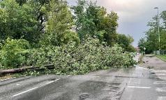 WhatsApp Image 2023-07-24 at 10.33.33 (17) WhatsApp Image 2023-07-24 at 10.33.33 (17)