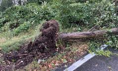 WhatsApp Image 2023-07-24 at 10.33.33 (18) WhatsApp Image 2023-07-24 at 10.33.33 (18)