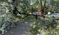 WhatsApp Image 2023-07-24 at 10.33.33 (2) WhatsApp Image 2023-07-24 at 10.33.33 (2)