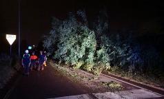 WhatsApp Image 2023-07-24 at 10.33.33 (7) WhatsApp Image 2023-07-24 at 10.33.33 (7)