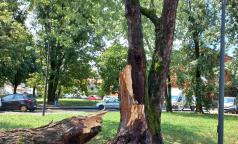 WhatsApp Image 2023-07-24 at 10.33.34 (1) WhatsApp Image 2023-07-24 at 10.33.34 (1)