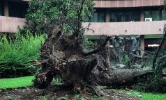 WhatsApp Image 2023-07-24 at 15.54.48 (1) WhatsApp Image 2023-07-24 at 15.54.48 (1)