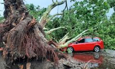 WhatsApp Image 2023-07-24 at 15.54.48 (3) WhatsApp Image 2023-07-24 at 15.54.48 (3)