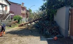 WhatsApp Image 2023-07-25 at 11.53.24 (2) WhatsApp Image 2023-07-25 at 11.53.24 (2)