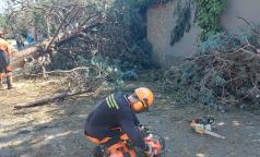 WhatsApp Image 2023-07-25 at 11.53.24 (3) WhatsApp Image 2023-07-25 at 11.53.24 (3)