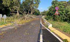 WhatsApp Image 2023-07-25 at 11.53.24 WhatsApp Image 2023-07-25 at 11.53.24