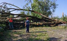 WhatsApp Image 2023-07-25 at 13.18.17 WhatsApp Image 2023-07-25 at 13.18.17